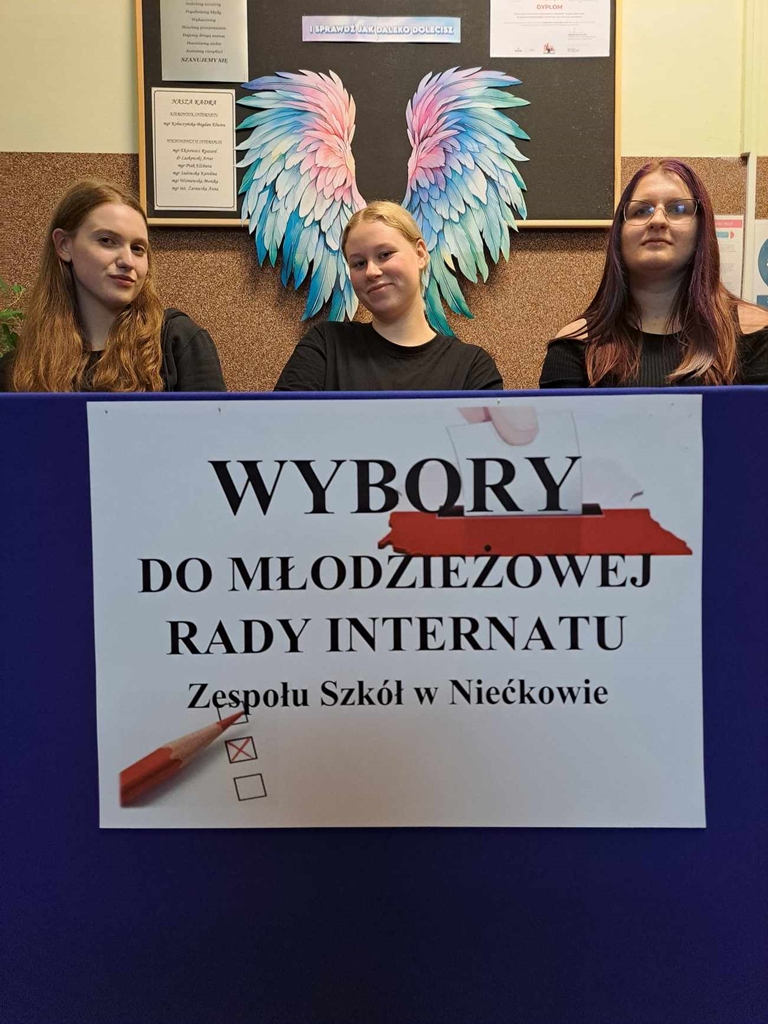 WYBORY do Młodzieżowej Rady Internatu